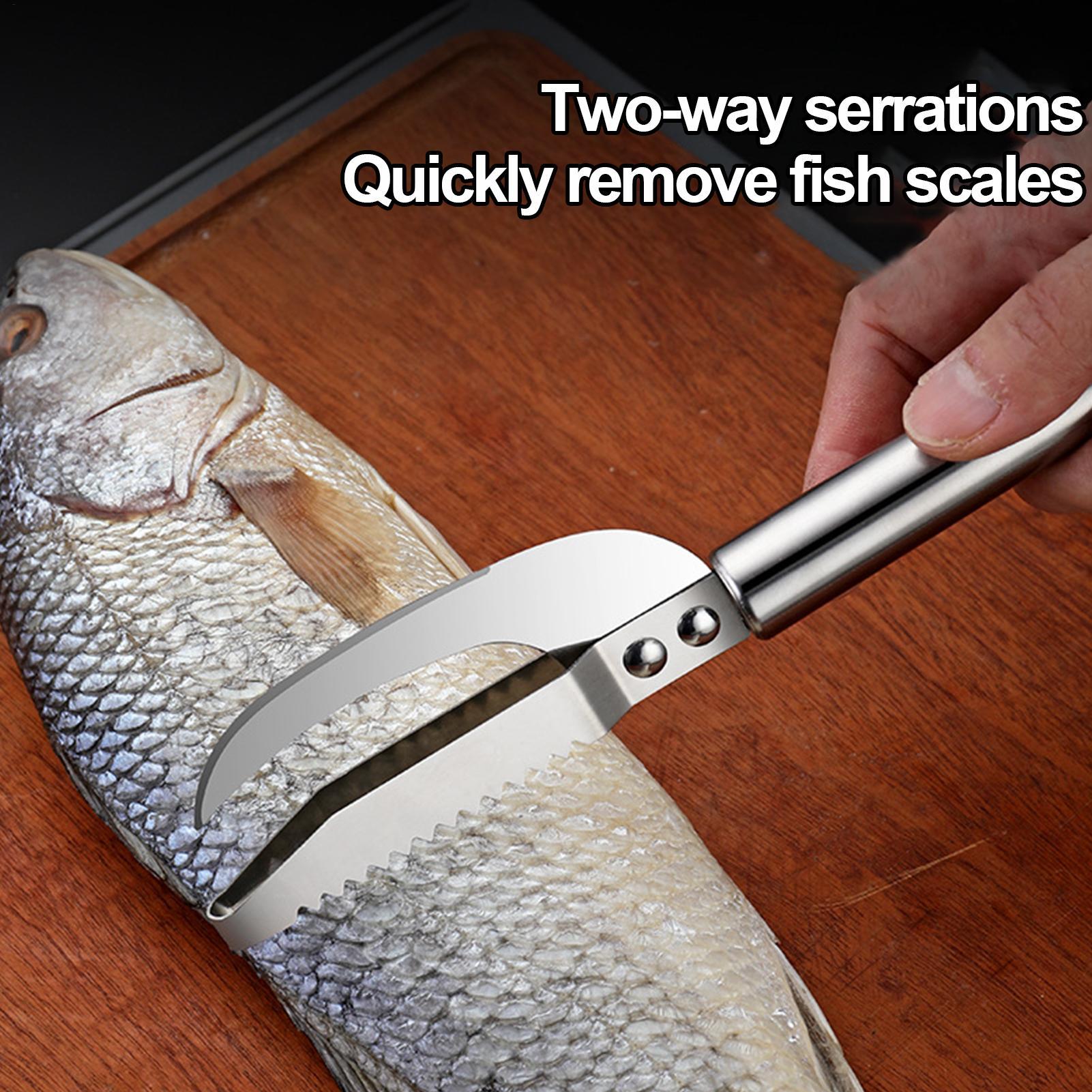 魚鱗除去ナイフ、エビの糸取り、ステンレス製魚鱗除去器、魚の皮 - Kitchen Gadget Amazon のレビューと価格